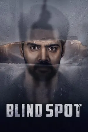 Blind Spot 2025 Poster